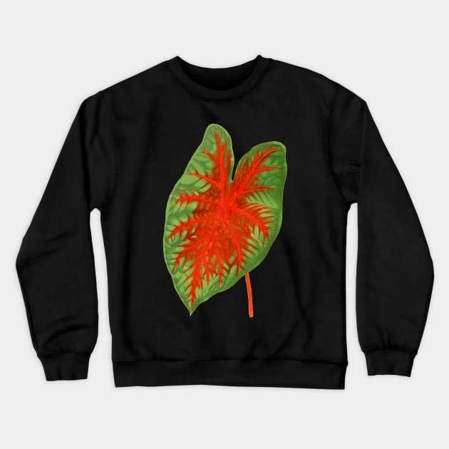 Caladium Postman Joyner - botanical illustration Crewneck Sweatshirt by chimakingthings